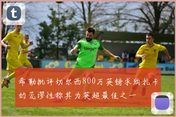 希勒批评切尔西800万英镑求购扎卡的荒谬性称其为英超最佳之一