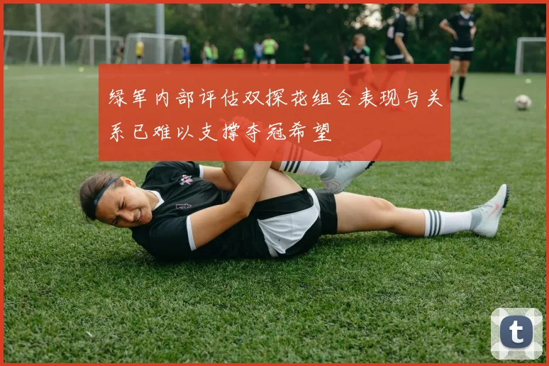 绿军内部评估双探花组合表现与关系已难以支撑夺冠希望