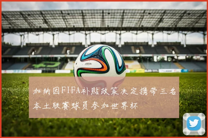 加纳因FIFA补贴政策决定携带三名本土联赛球员参加世界杯